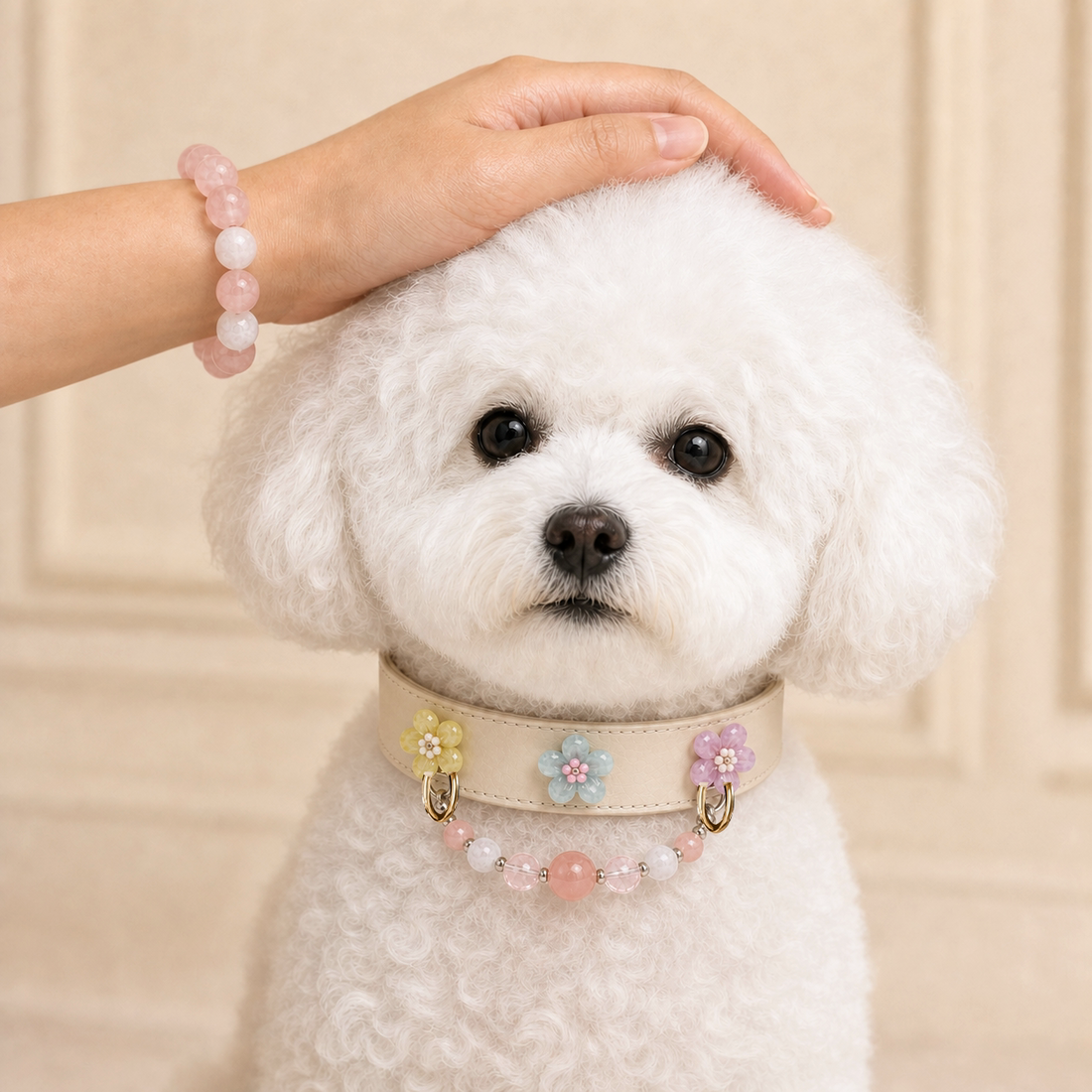 Blush Snow matching crystal pet collar and owner bracelet set