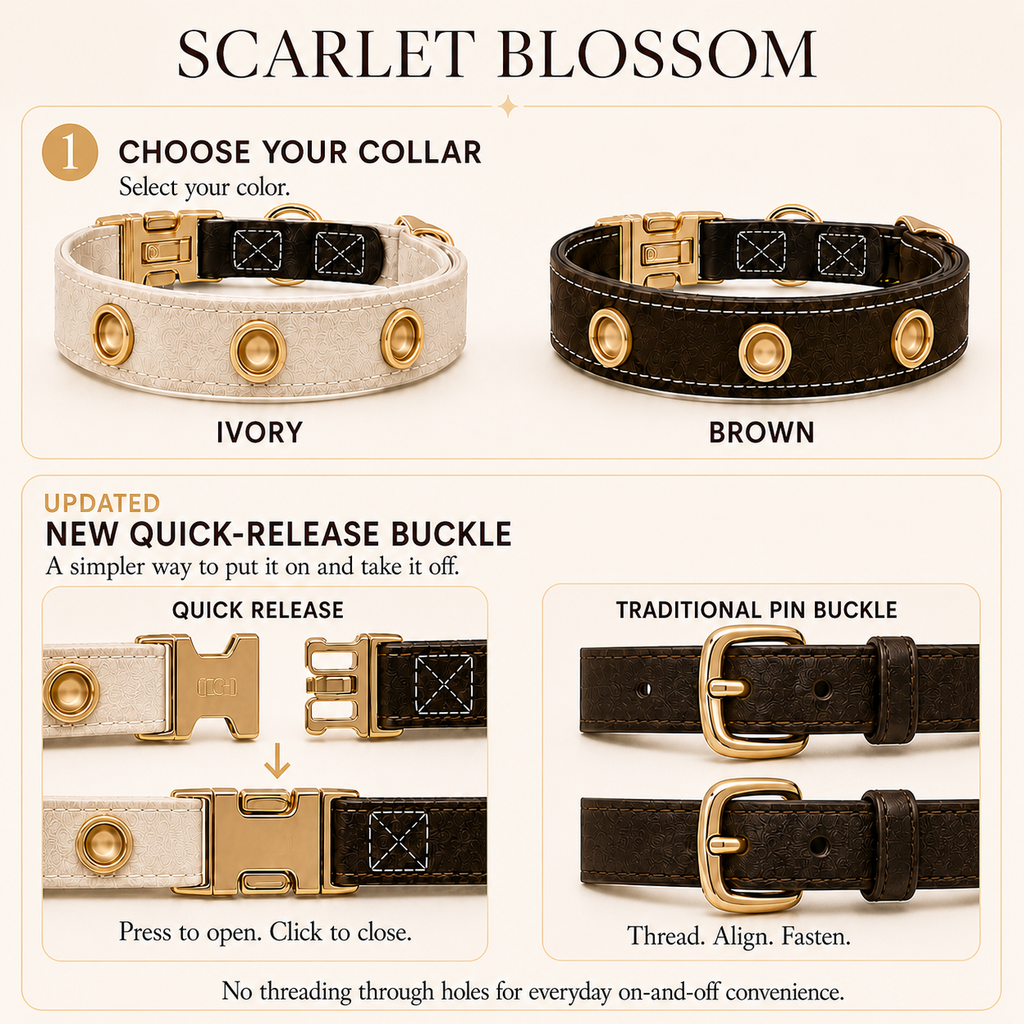 XCENCORE Scarlet Blossom color choices and quick-release buckle comparison