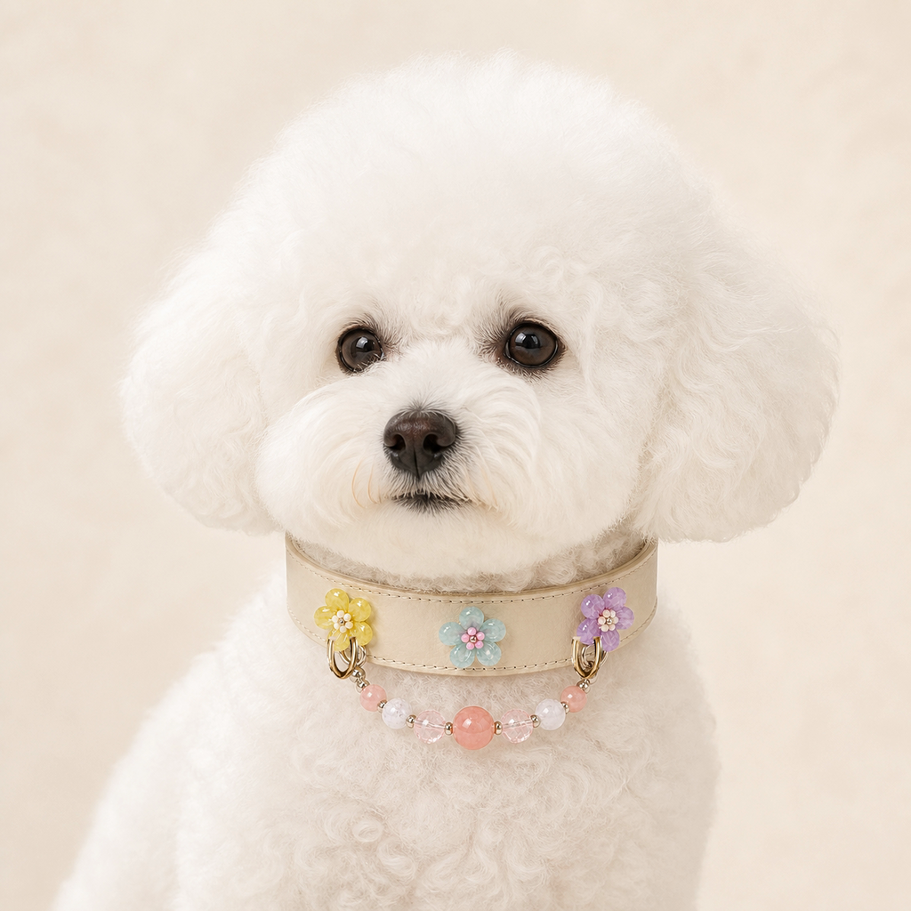 XCENCORE Blush Snow Collar + Owner Bracelet Set — pet-worn view with champagne-gold fixed hardware — 2026-08-29