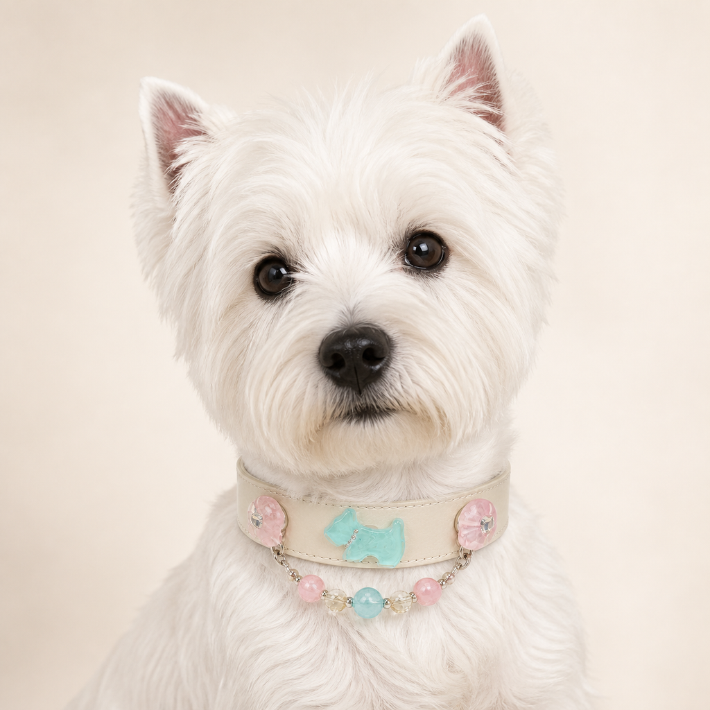 XCENCORE Coastal Garden Crystal Pet Collar confirmed 2026-08-27 snug pet fit