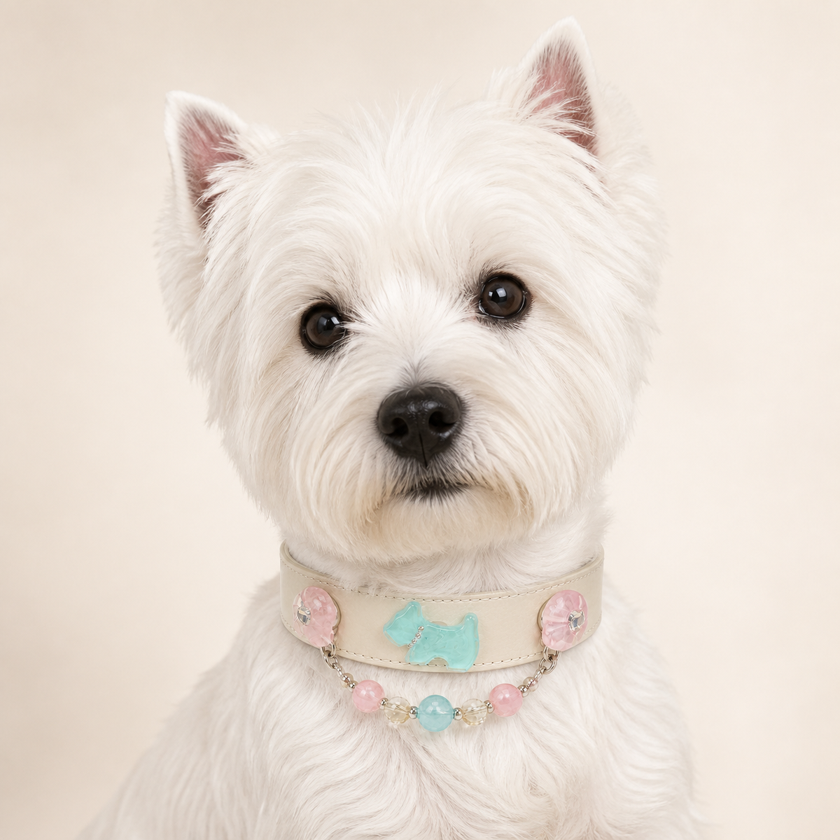 XCENCORE Coastal Garden Crystal Pet Collar confirmed 2026-08-27 snug pet fit