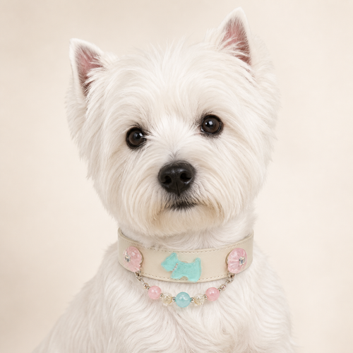 XCENCORE Coastal Garden Crystal Pet Collar confirmed 2026-08-27 snug pet fit