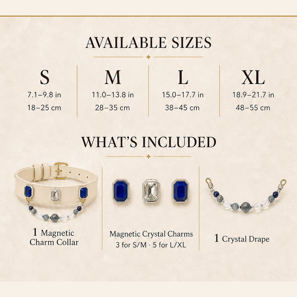 XCENCORE celestial-blue-crystal-pet-collar — sizes and included pieces square detail v2 — 2026-08-31