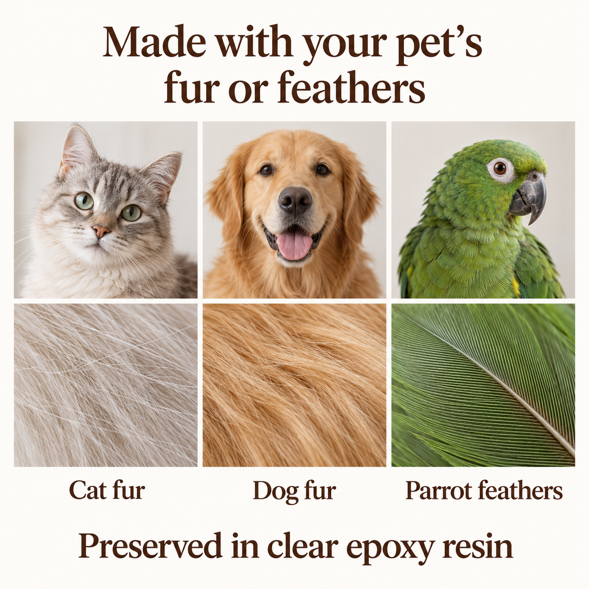 Illustration showing a cat, dog, and parrot with close views of cat fur, dog fur, and parrot feathers, the supported materials for custom keepsakes.